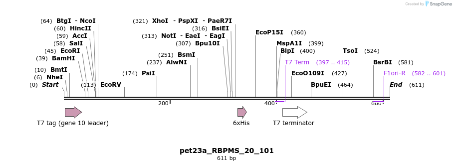 118444_map