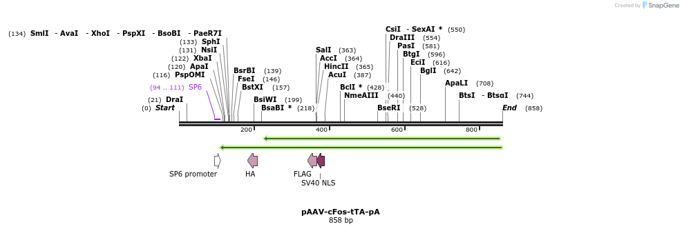 118446_map
