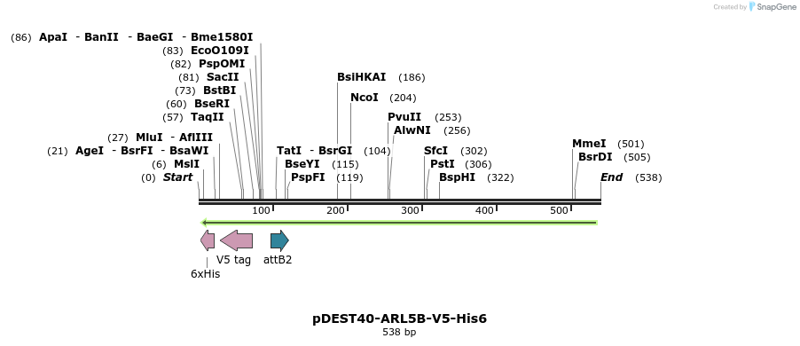 118456_map