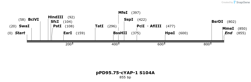 118472_map