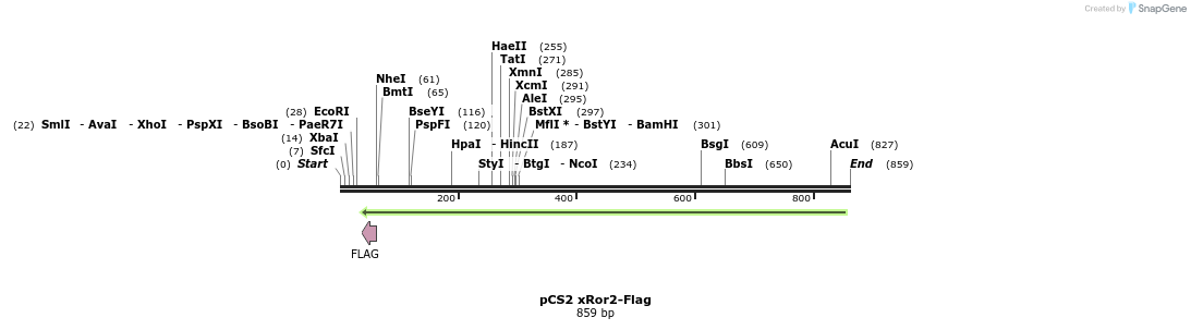 118476_map