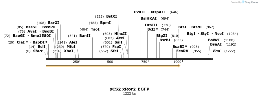118479_map