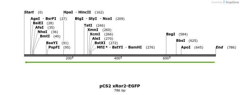 118481_map