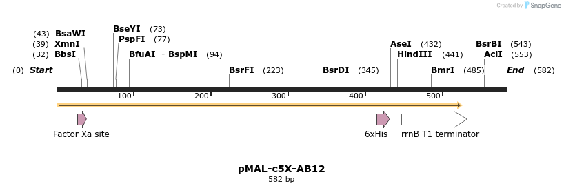118487_map