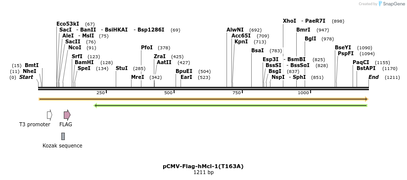 11849_map