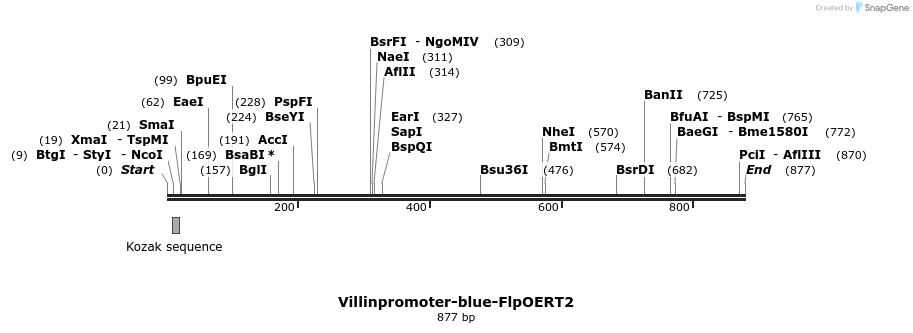 118492_map