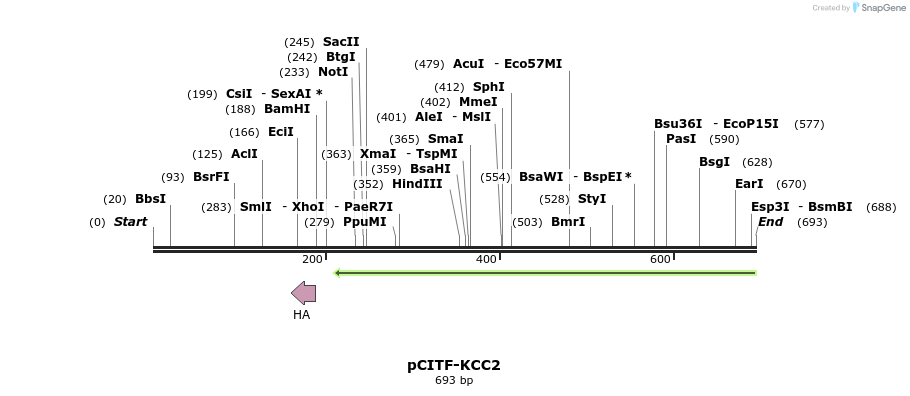 118507_map