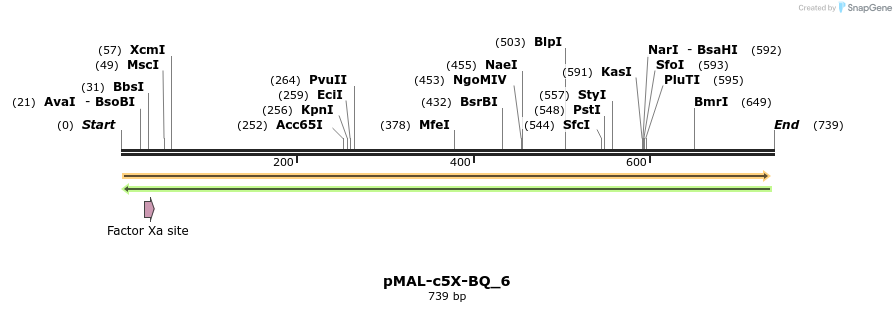 118509_map