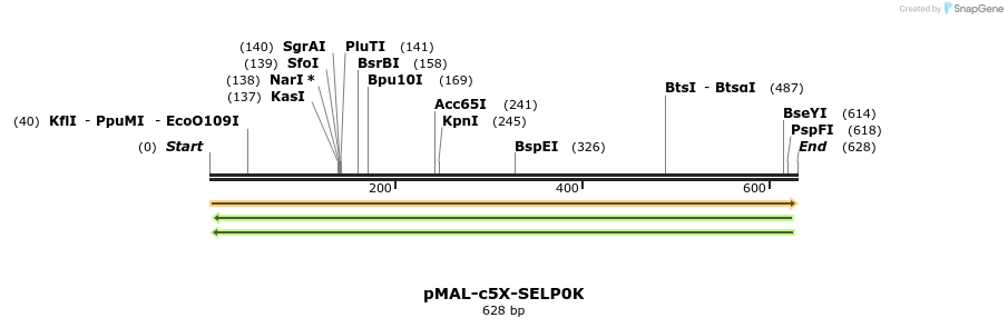 118512_map
