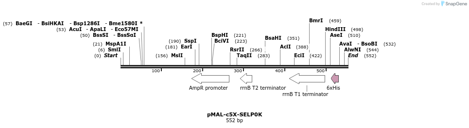 118513_map