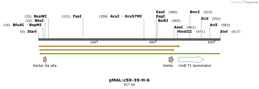 118516_map