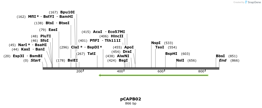 118521_map