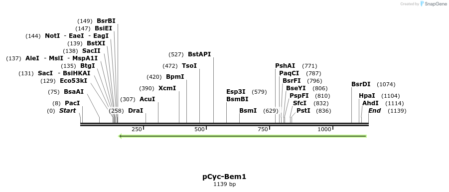 118539_map