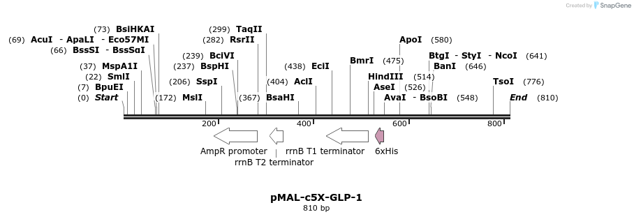 118544_map