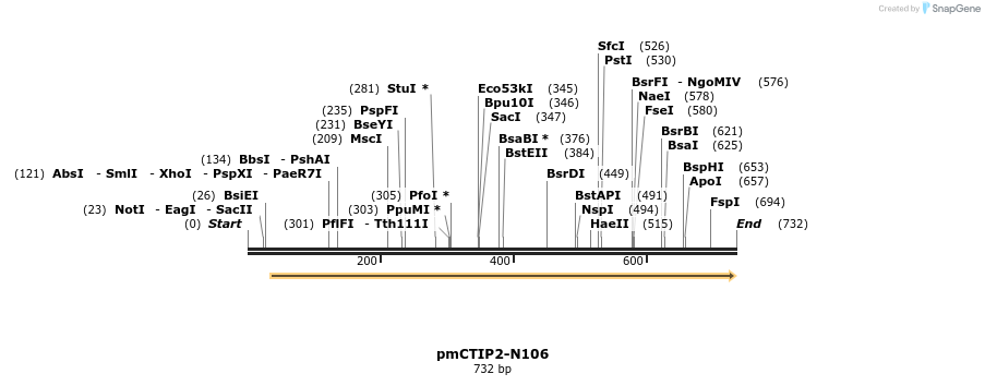 118554_map