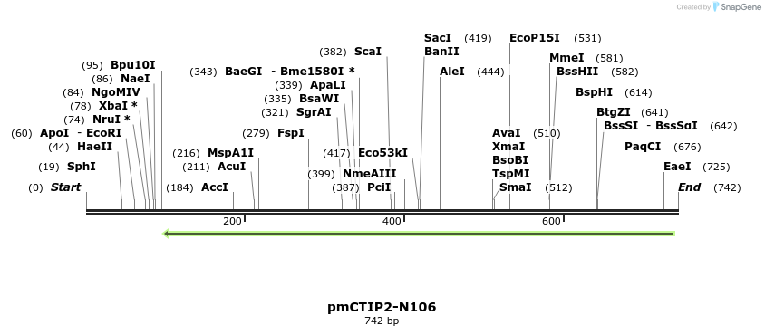 118557_map