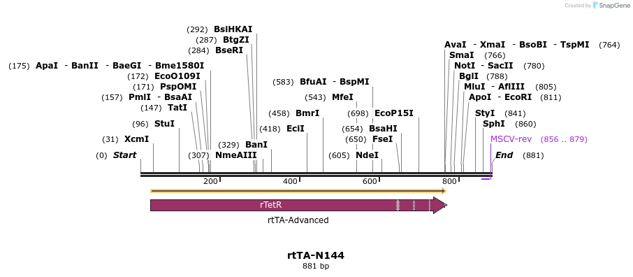 118561_map