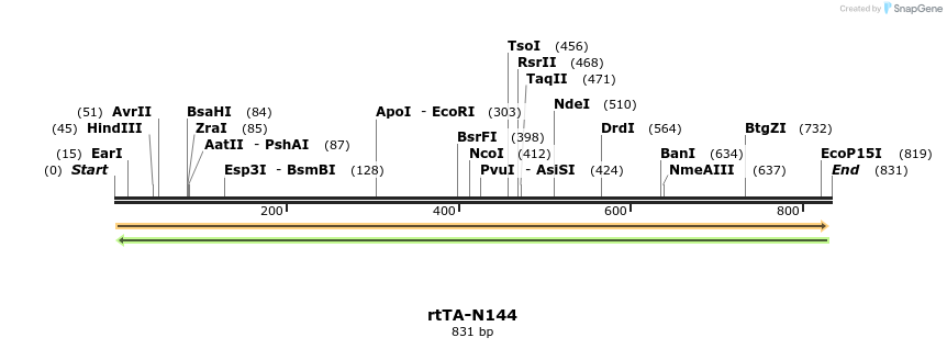 118562_map