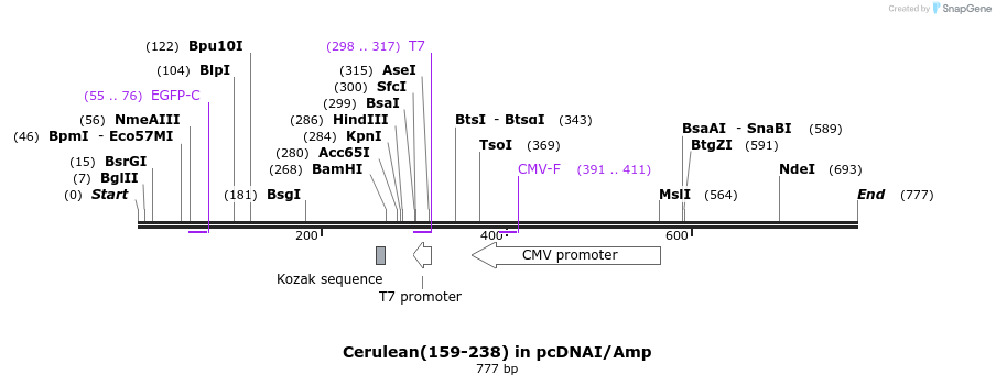118572_map