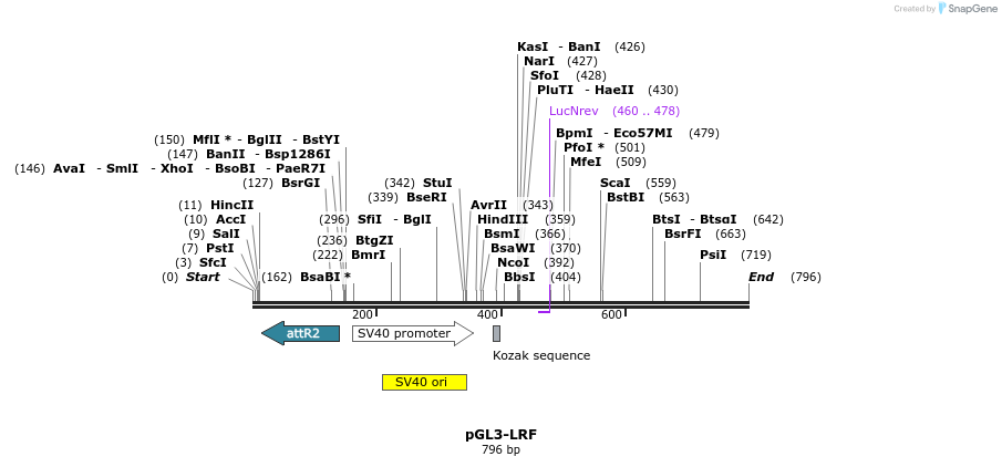 118574_map