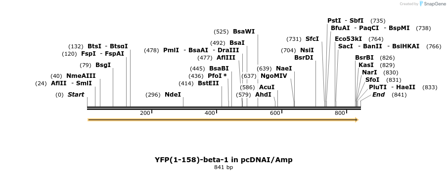 118584_map
