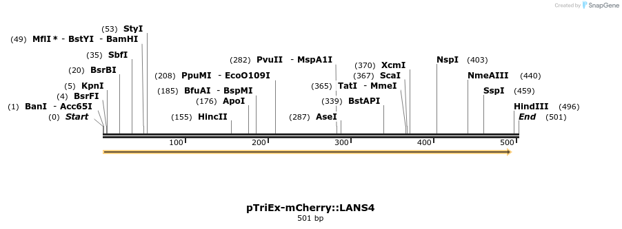 118595_map