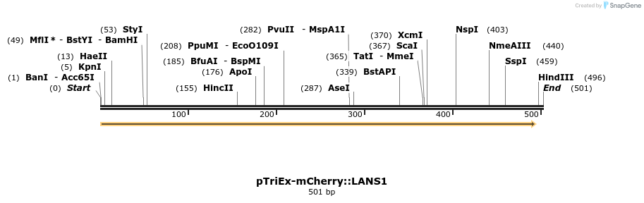 118596_map