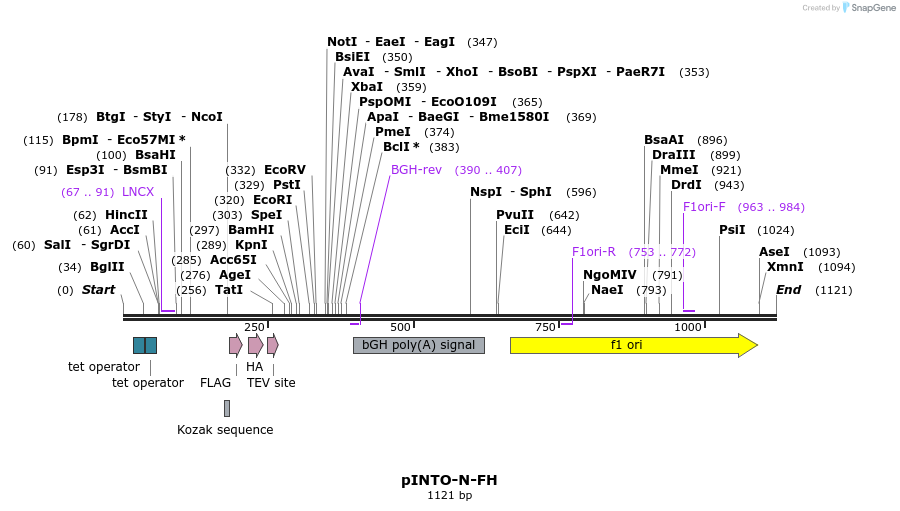 118597_map