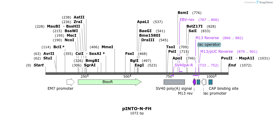 118600_map