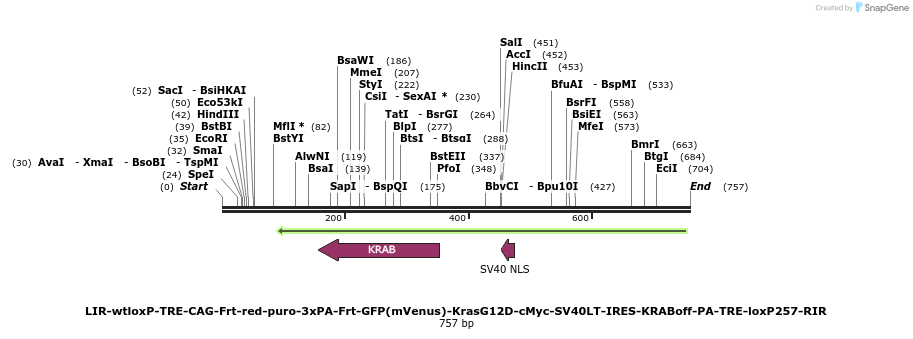 118623_map