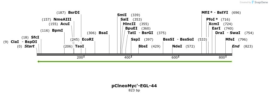 118627_map