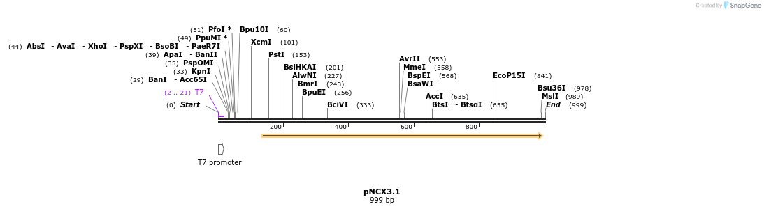 118646_map
