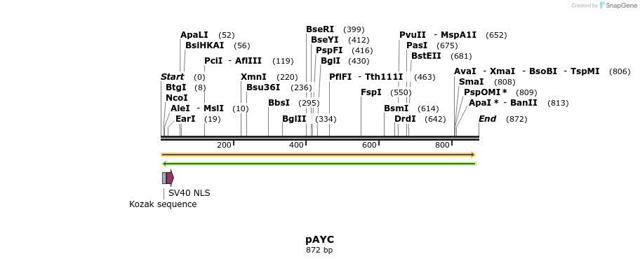 118653_map