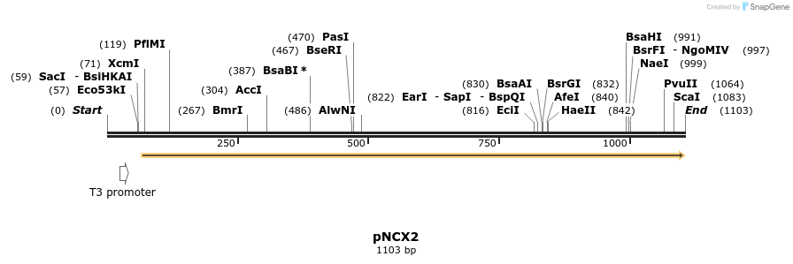 118655_map