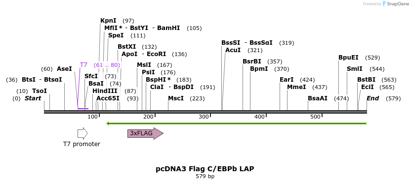 118667_map