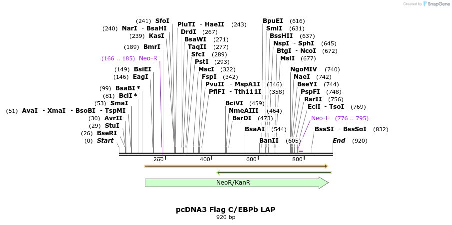 118668_map