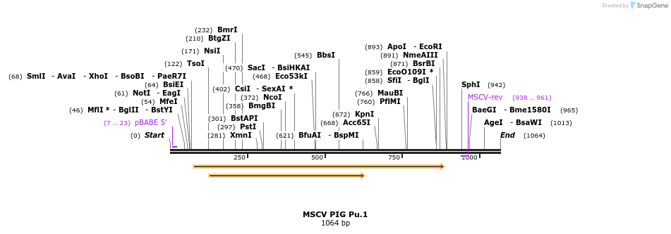 118674_map