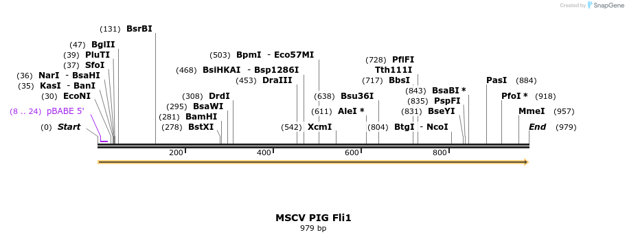 118677_map