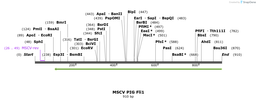 118678_map