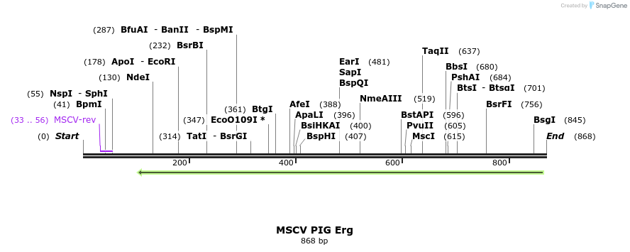 118681_map