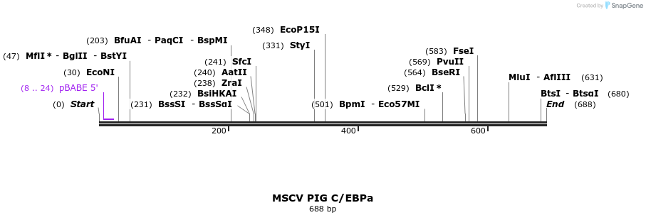 118682_map