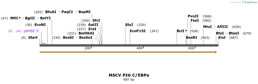 118684_map