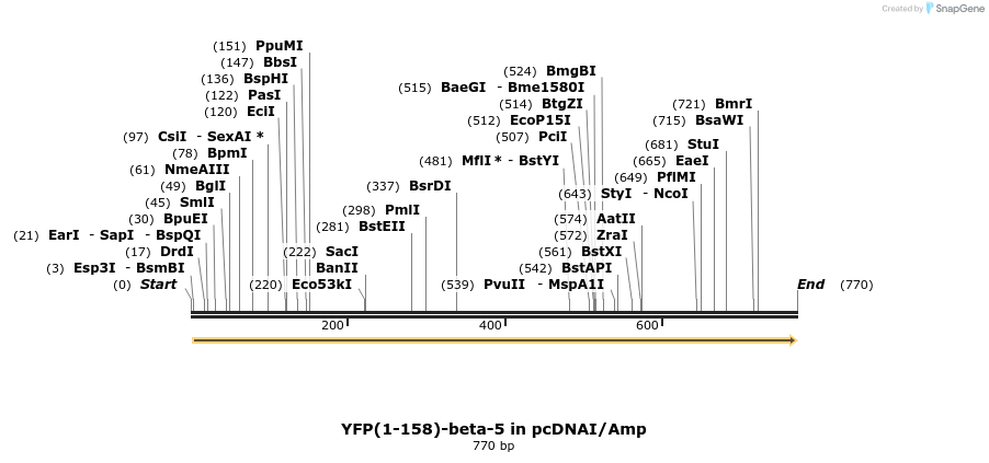 118700_map