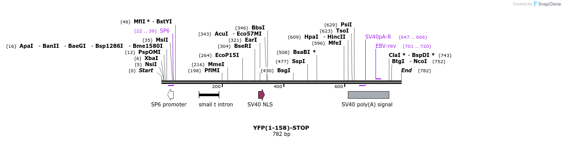 118710_map