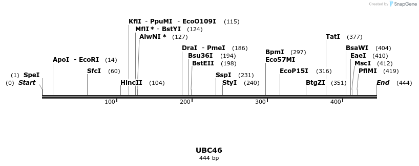 11874_map