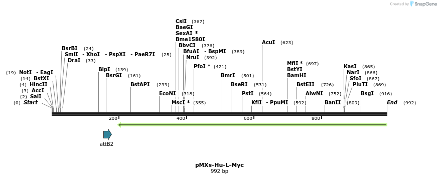 118741_map