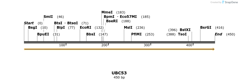 11875_map