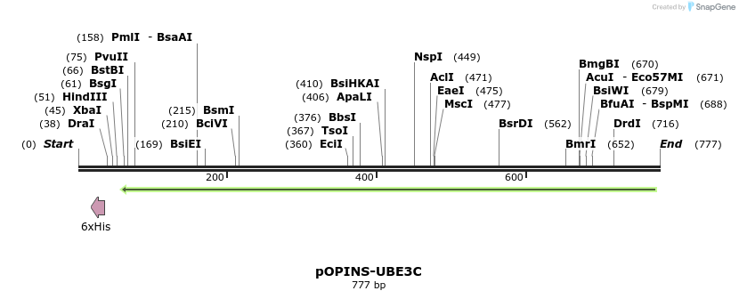 118755_map
