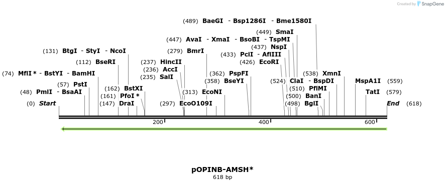 118756_map