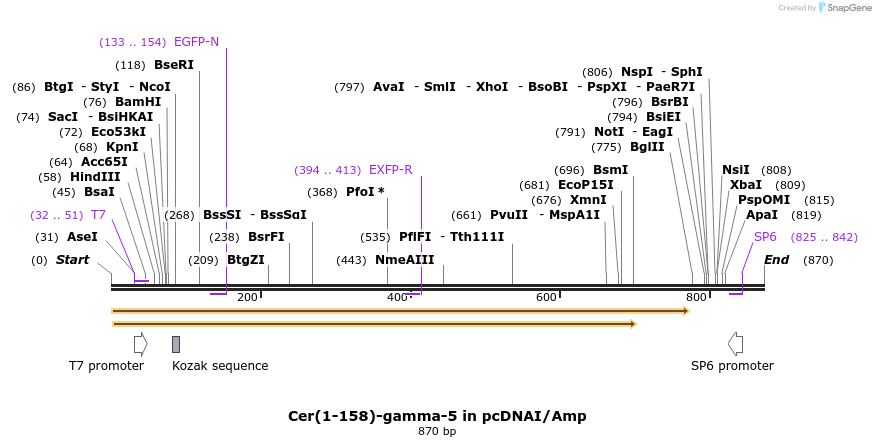 118762_map